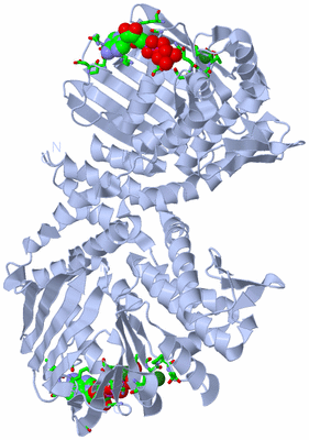 Image Biol. Unit 1 - sites