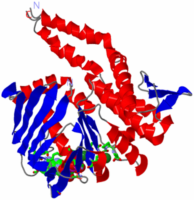 Image Asym. Unit - sites