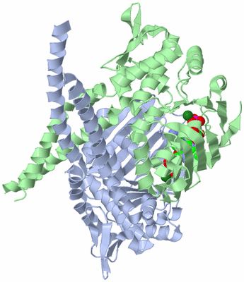 Image Asym./Biol. Unit