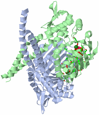 Image Asym./Biol. Unit - sites