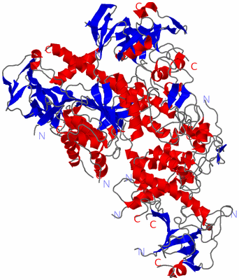 Image Asym./Biol. Unit