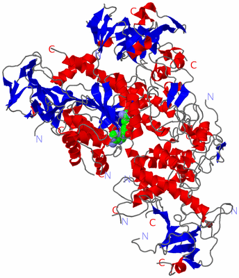 Image Asym./Biol. Unit