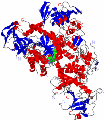 Image Asym./Biol. Unit