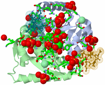 Image Asym./Biol. Unit - sites