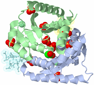 Image Asym./Biol. Unit