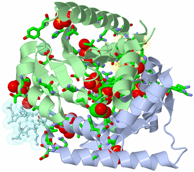 Image Asym./Biol. Unit - sites