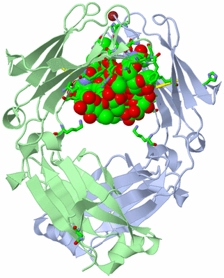 Image Asym./Biol. Unit - sites