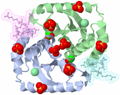 Image Asym./Biol. Unit