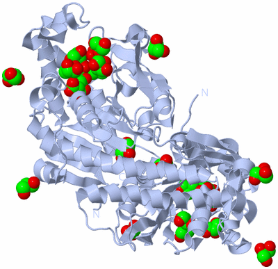 Image Biological Unit 1