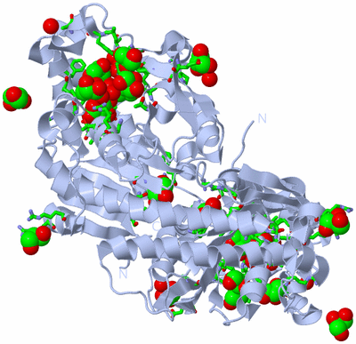 Image Biol. Unit 1 - sites