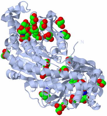 Image Biological Unit 1