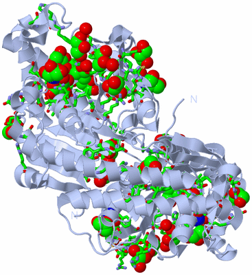 Image Biol. Unit 1 - sites