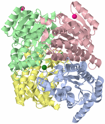 Image Asym./Biol. Unit