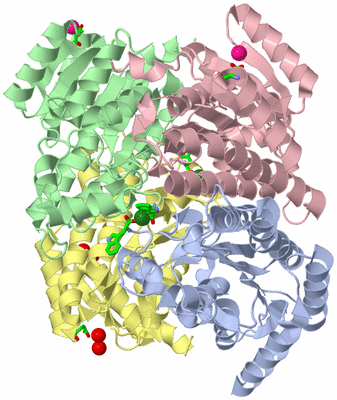 Image Asym./Biol. Unit - sites