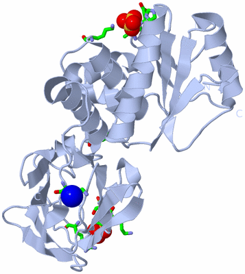 Image Biol. Unit 1 - sites