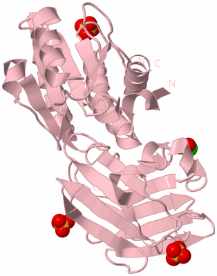 Image Biological Unit 3