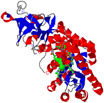 Image Asym. Unit - sites