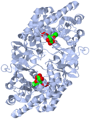 Image Biological Unit 1