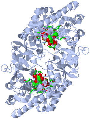 Image Biol. Unit 1 - sites