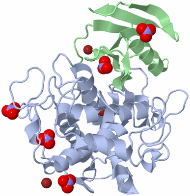 Image Asym./Biol. Unit