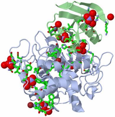 Image Asym./Biol. Unit - sites