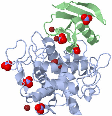 Image Asym./Biol. Unit