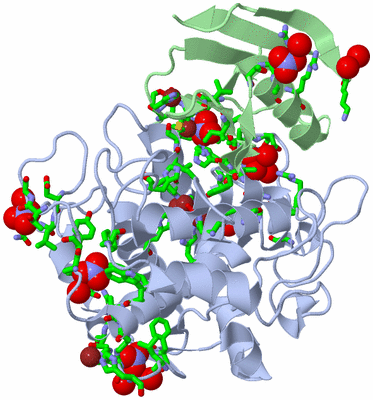 Image Asym./Biol. Unit - sites