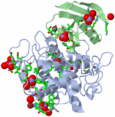 Image Asym./Biol. Unit - sites