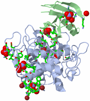 Image Asym./Biol. Unit - sites