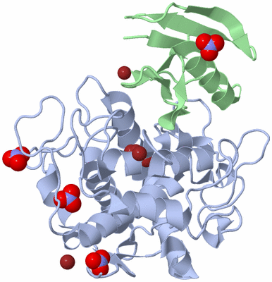 Image Asym./Biol. Unit