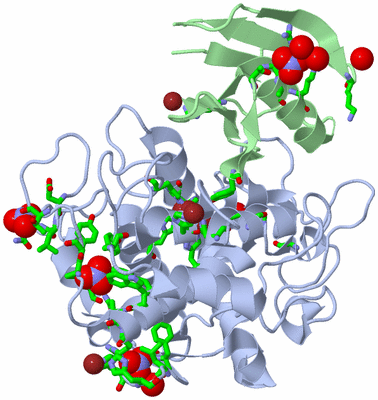 Image Asym./Biol. Unit - sites