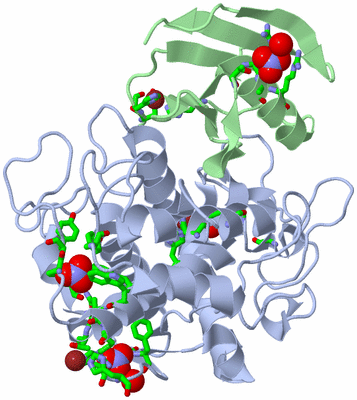 Image Asym./Biol. Unit - sites