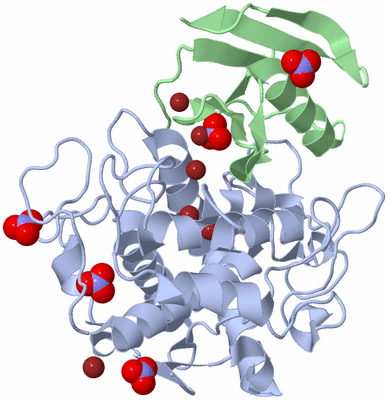 Image Asym./Biol. Unit