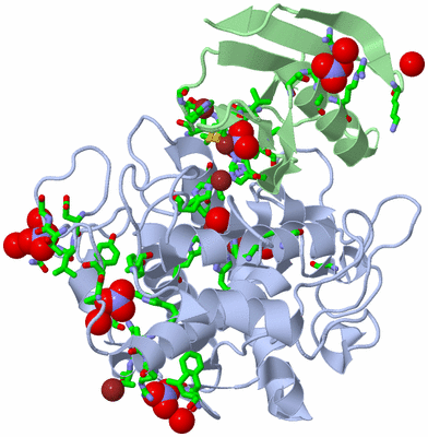 Image Asym./Biol. Unit - sites