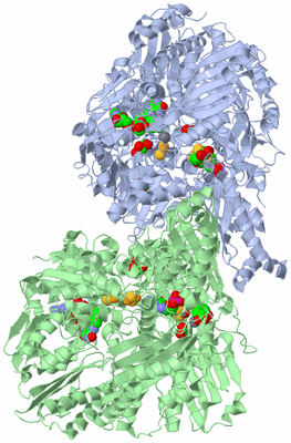 Image Asym./Biol. Unit