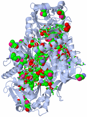 Image Biol. Unit 1 - sites