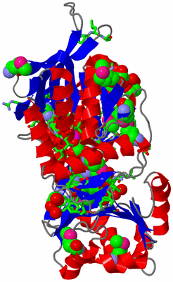 Image Asym. Unit - sites