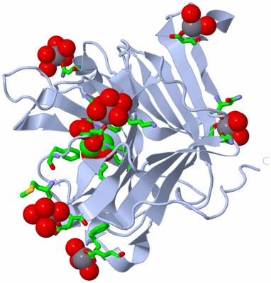 Image Biol. Unit 1 - sites