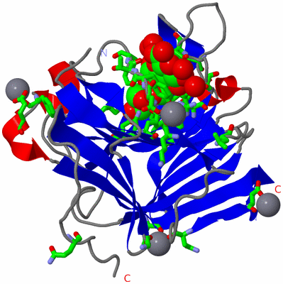 Image Asym./Biol. Unit - sites