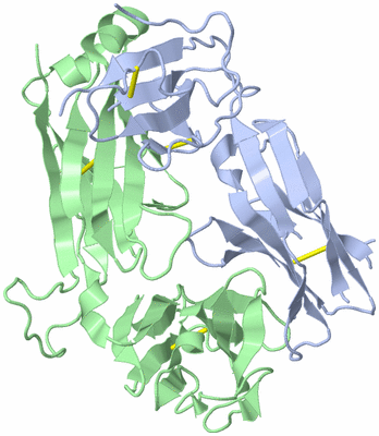 Image Biological Unit 1