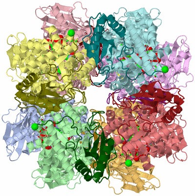 Image Asym./Biol. Unit - sites