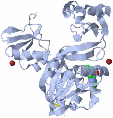 Image Biological Unit 1