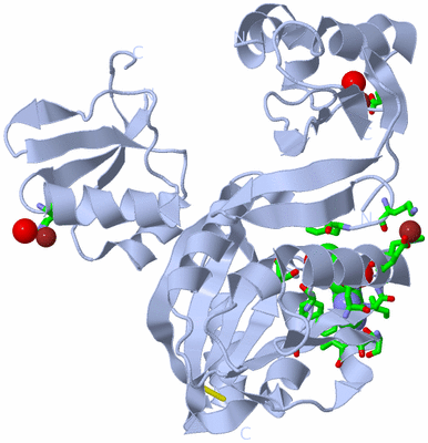 Image Biol. Unit 1 - sites