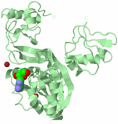 Image Biological Unit 2