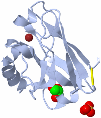 Image Biological Unit 1