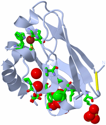 Image Biol. Unit 1 - sites