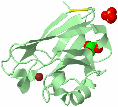 Image Biological Unit 2