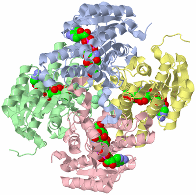 Image Asym./Biol. Unit