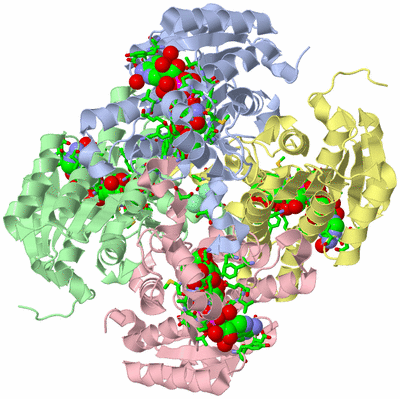 Image Asym./Biol. Unit - sites