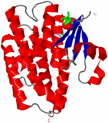 Image Asym. Unit - sites